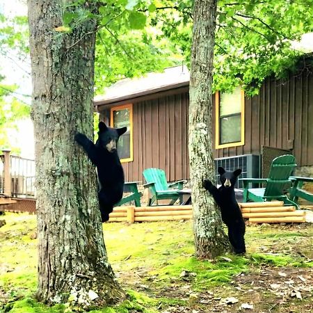 10 Miles Away From The Heart Of It All! Pigeon Forge Ngoại thất bức ảnh