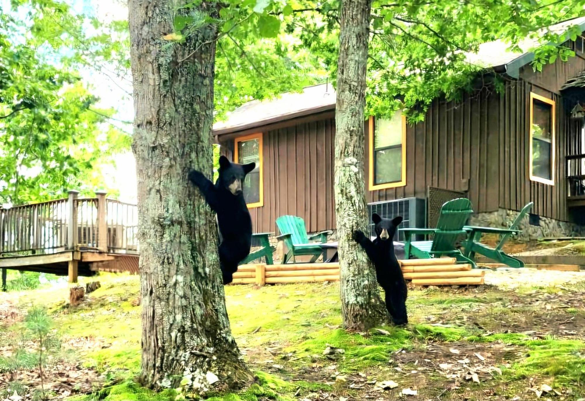 10 Miles Away From The Heart Of It All! Pigeon Forge Ngoại thất bức ảnh